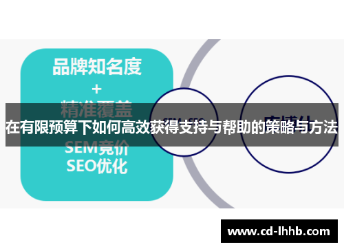 在有限预算下如何高效获得支持与帮助的策略与方法