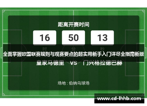 全面掌握欧国联赛规则与观赛要点的超实用新手入门详尽全指南新版