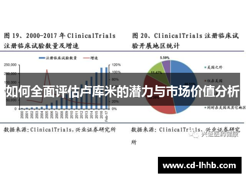如何全面评估卢库米的潜力与市场价值分析